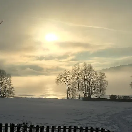 Apartmán Seewiese 03 Seeblick Mit Hochschwarzwaldcard Titisee-Neustadt