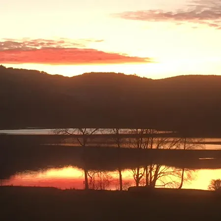 Seewiese 03 Seeblick Mit Hochschwarzwaldcard *