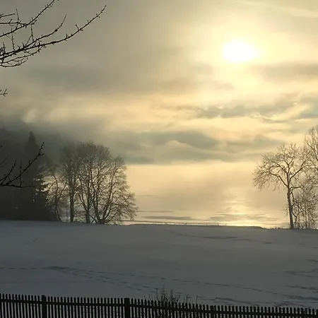 Apartamento Seewiese 03 Seeblick Mit Hochschwarzwaldcard *