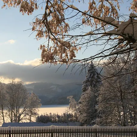 Seewiese 03 Seeblick Mit Hochschwarzwaldcard * Titisee-Neustadt
