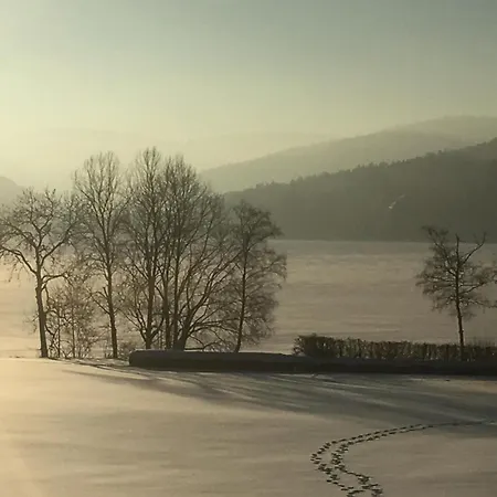 Seewiese 03 Seeblick Mit Hochschwarzwaldcard Titisee-Neustadt