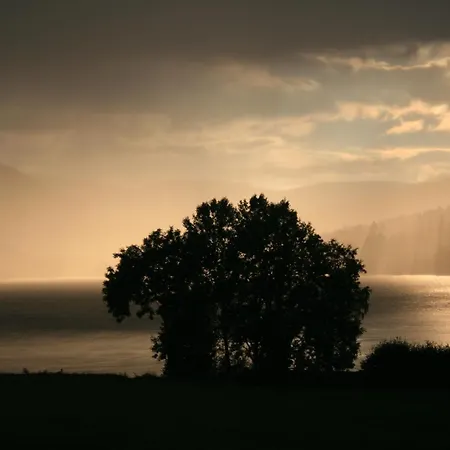 Apartamento Seewiese 03 Seeblick Mit Hochschwarzwaldcard *