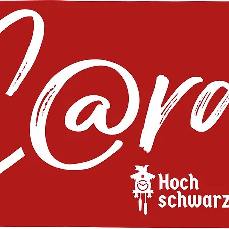 Seewiese 03 Seeblick Mit Hochschwarzwaldcard * Titisee-Neustadt